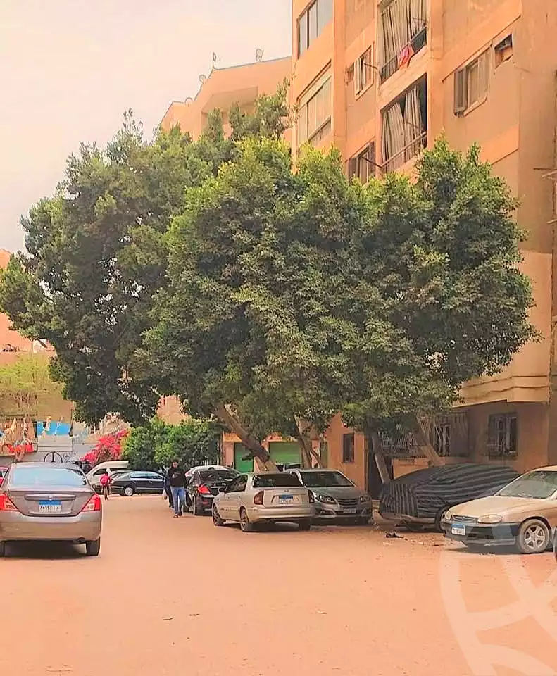 https://aqarmap.com.eg/en/listing/7084750-for-sale-cairo-el-haram-shareaa-khatem-el-morsalen