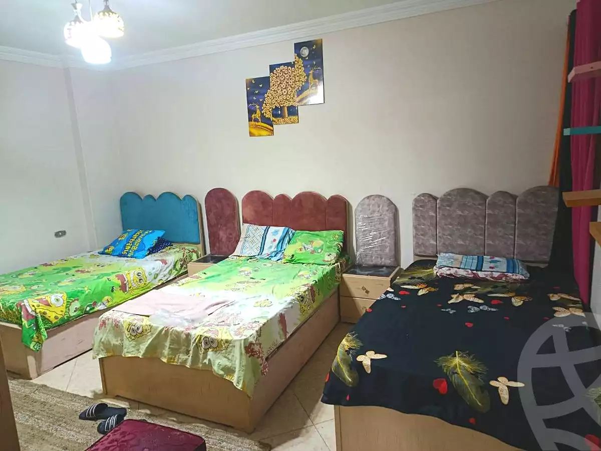 https://aqarmap.com.eg/en/listing/7086087-for-rent-cairo-faisal-tareeq-kaabesh