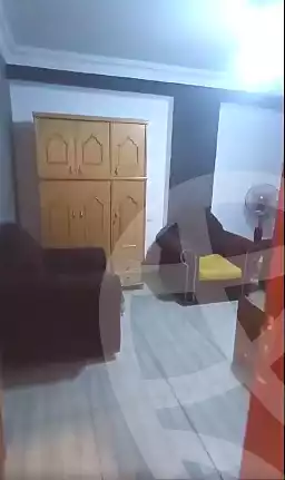 https://aqarmap.com.eg/en/listing/7087073-for-sale-cairo-ain-shams-mnshy-lthryr