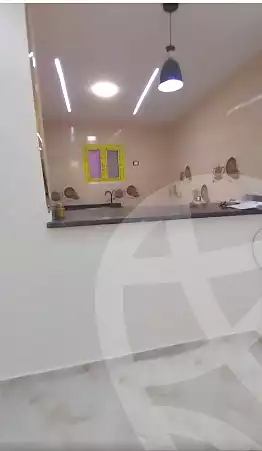 https://aqarmap.com.eg/en/listing/7088068-for-sale-cairo-ain-shams