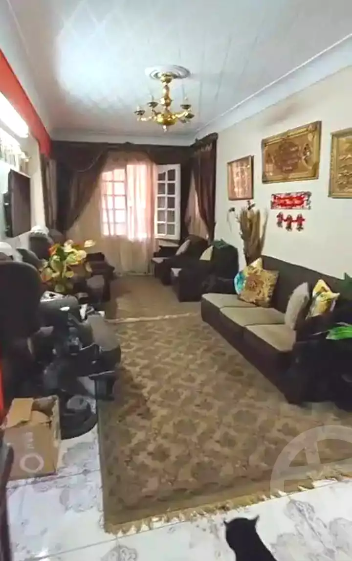 https://aqarmap.com.eg/en/listing/7088105-for-sale-alexandria-miami-abou-el-arab-st