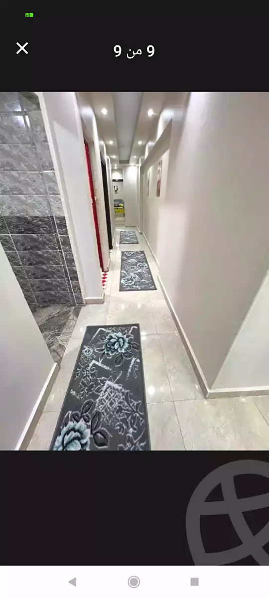 https://aqarmap.com.eg/en/listing/7088927-for-rent-alexandria-miami-khld-bn-lwlyd
