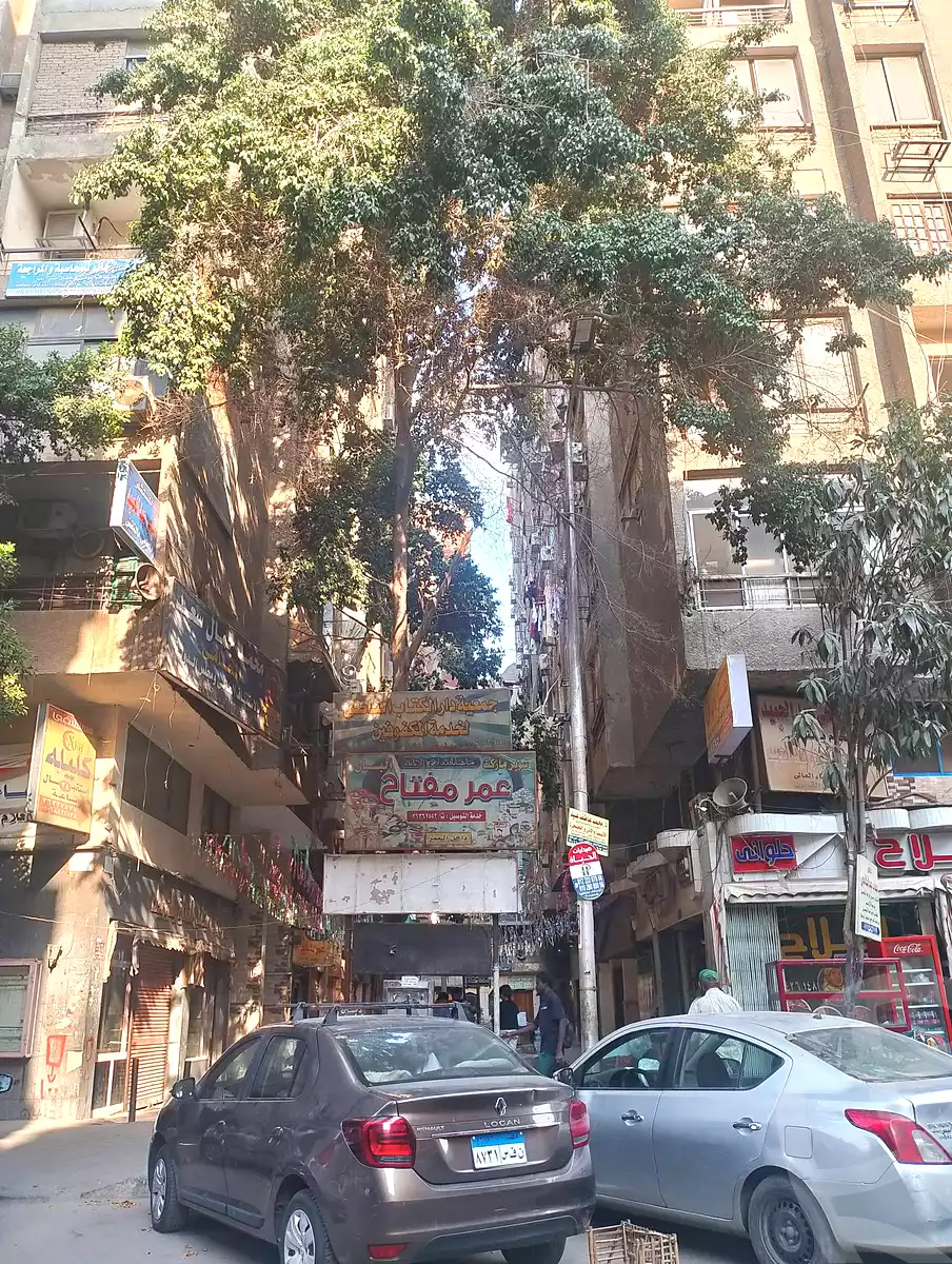 https://aqarmap.com.eg/en/listing/7089106-for-sale-cairo-el-zaytun-hlmy-lzytwn