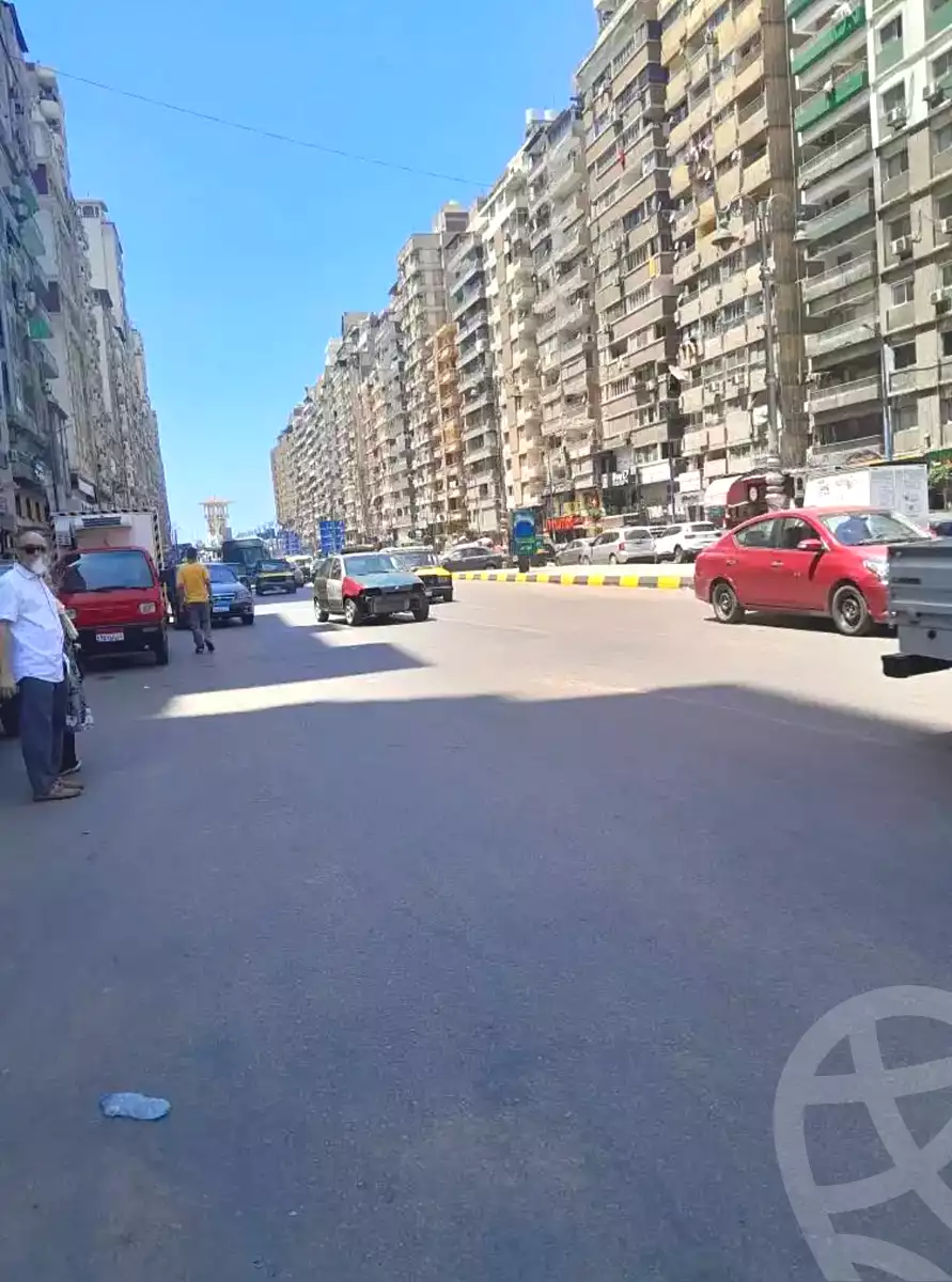 https://aqarmap.com.eg/en/listing/7091576-for-sale-alexandria-el-asafra-shr-45