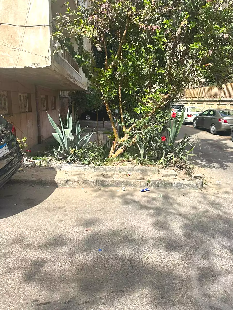 https://aqarmap.com.eg/en/listing/7085954-for-sale-alexandria-kafr-abdo-kafr-abdou-st