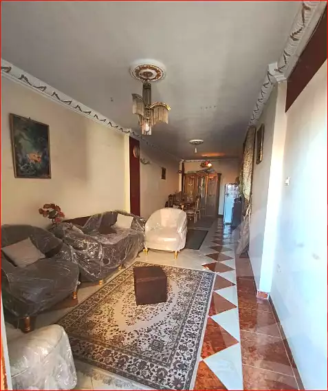 https://aqarmap.com.eg/ar/listing/7092373-for-sale-alexandria-lsywf-el-falki