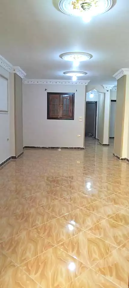 https://aqarmap.com.eg/ar/listing/7092671-for-sale-alexandria-al-agamy-el-hanouvel-kasr-al-quiri-st-1