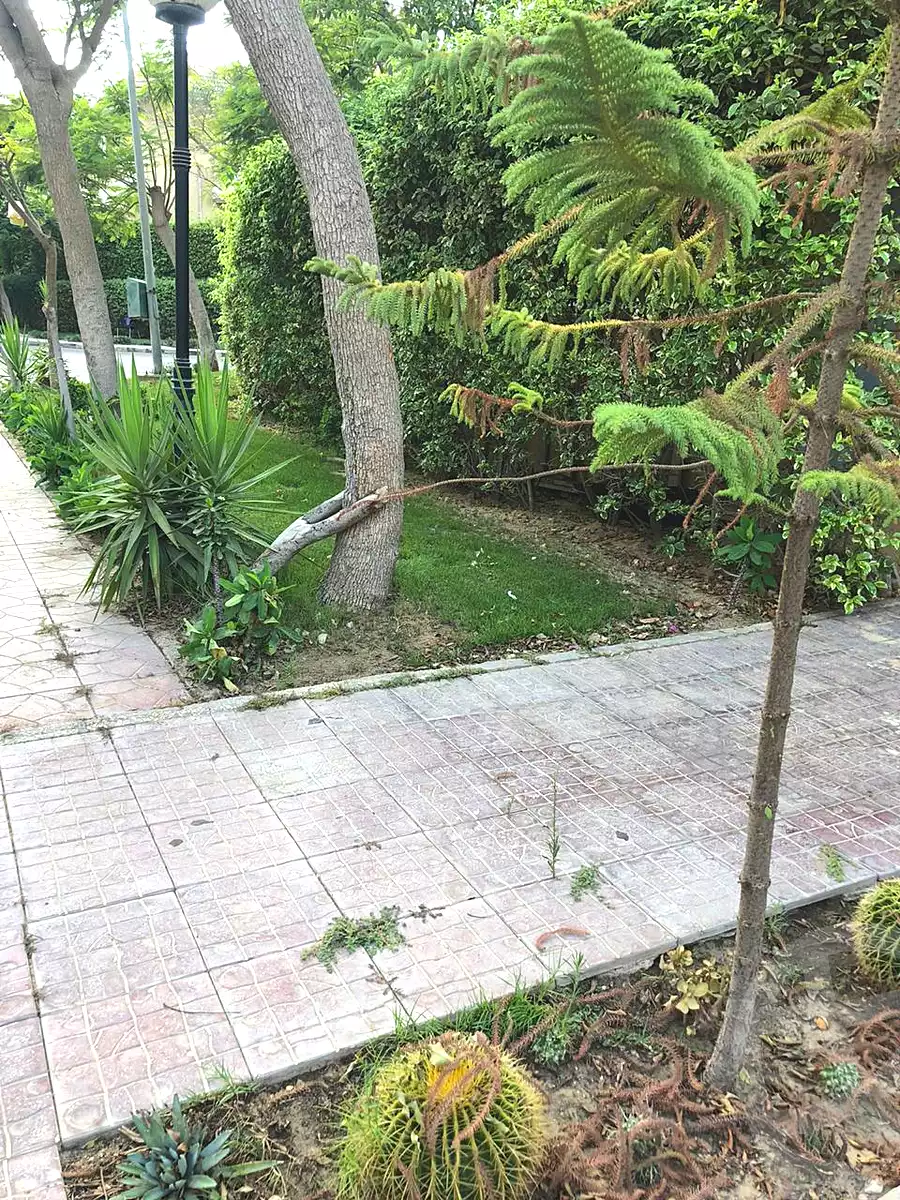 فيلا بـ٥ غرف نوم في Mena Garden City، صورة ٤٦ من ٥٤