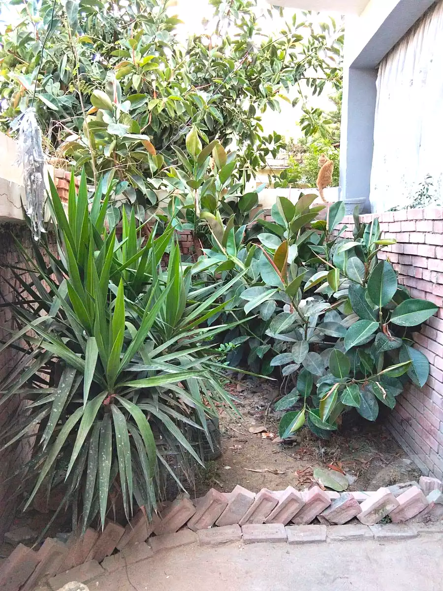 https://aqarmap.com.eg/ar/listing/7095690-for-sale-alexandria-al-agamy-el-hanouvel-al-asdakaa-st