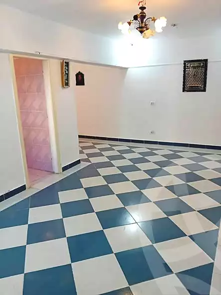 https://aqarmap.com.eg/en/listing/7096434-for-rent-alexandria-miami-mahmoud-el-isawy-st