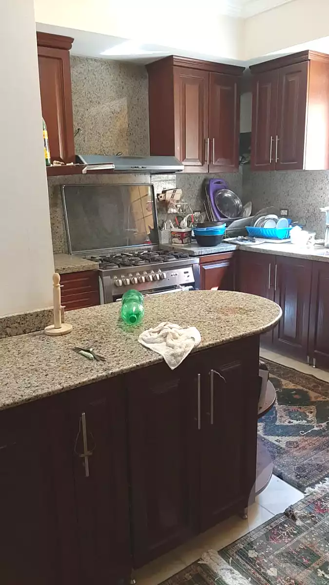 https://aqarmap.com.eg/ar/listing/7096887-for-sale-cairo-6th-of-october-garb-someed-neighborhood-7th