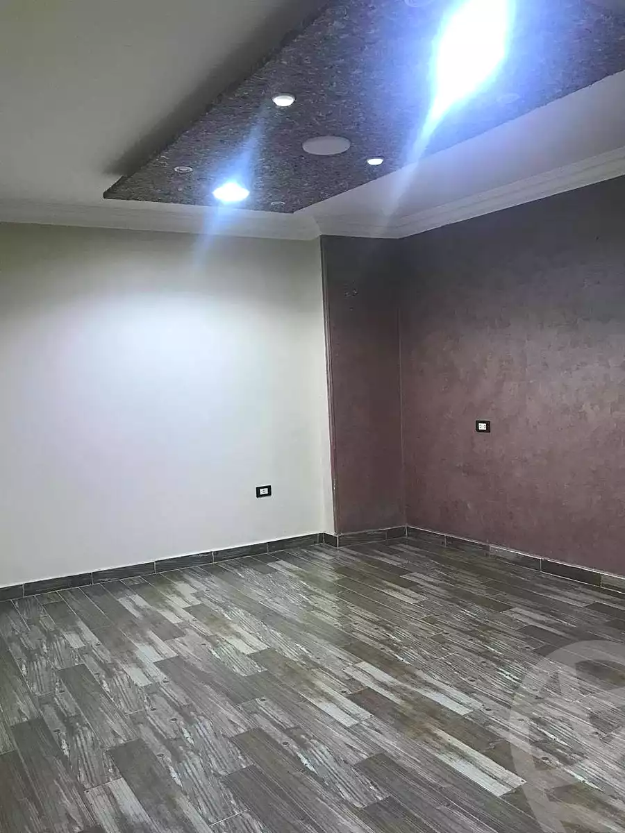 https://aqarmap.com.eg/en/listing/7097652-for-rent-cairo-faisal-el-maryotyah