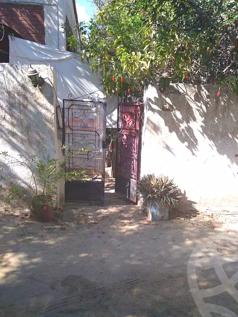 https://aqarmap.com.eg/ar/listing/7097731-for-rent-alexandria-al-agamy-lbytsh-el-batal-ahmed-abd-el-aziz-belbis-st