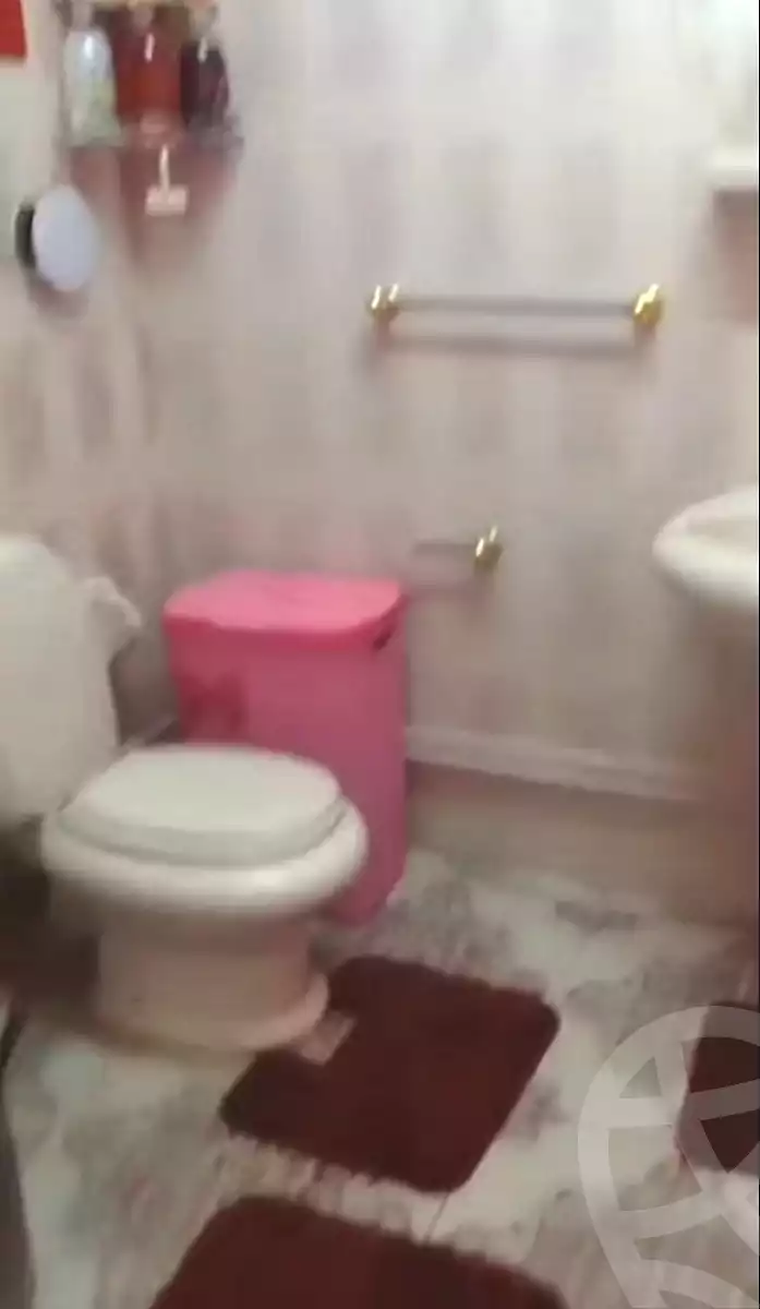 https://aqarmap.com.eg/ar/listing/7097955-for-sale-cairo-ain-shams-jsr-lswys-gamal-abd-el-naser-st