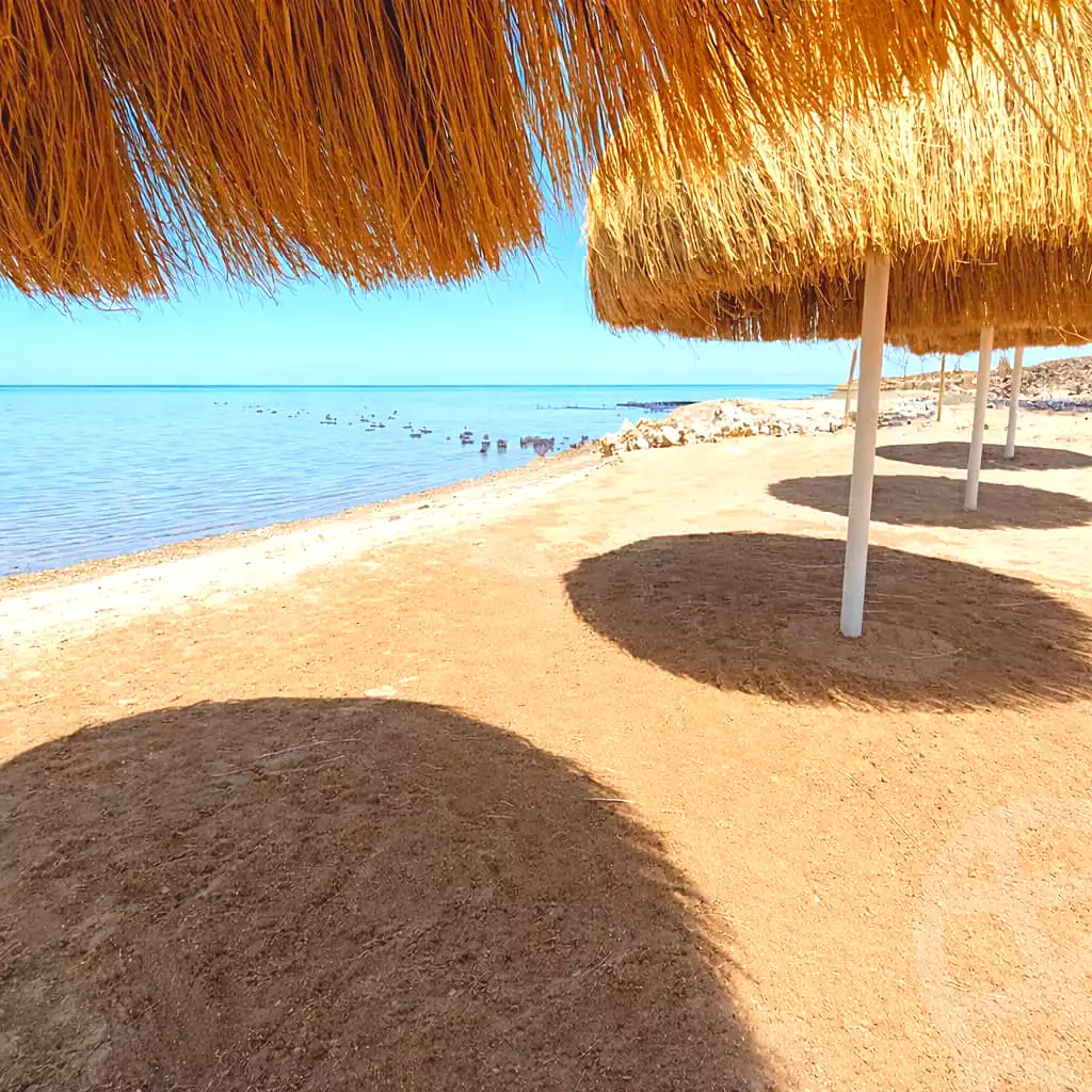 https://aqarmap.com.eg/ar/listing/7099744-for-sale-red-sea-el-ahyaa