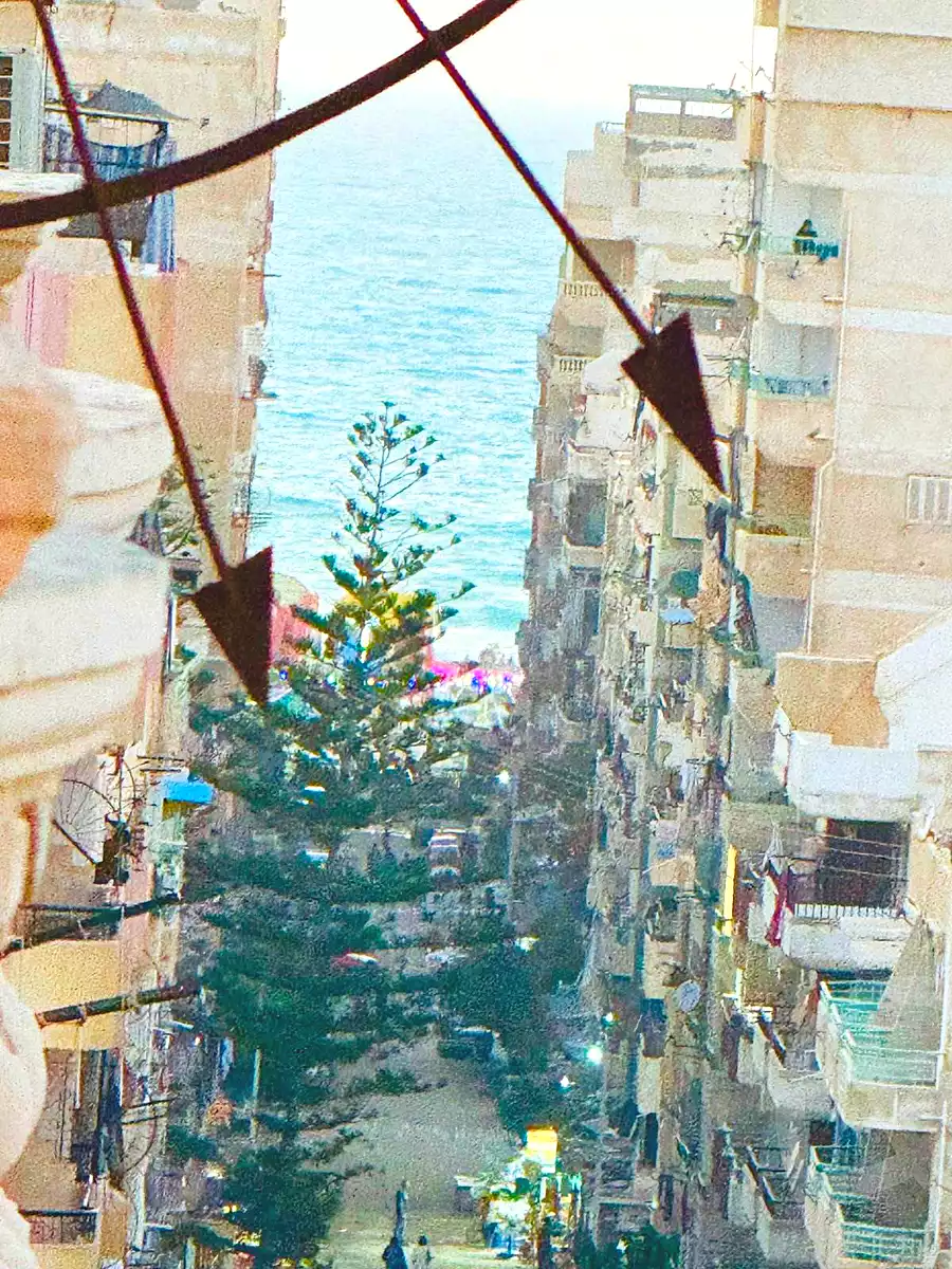 https://aqarmap.com.eg/ar/listing/7101357-for-sale-alexandria-al-agamy-shataa-el-nakheel