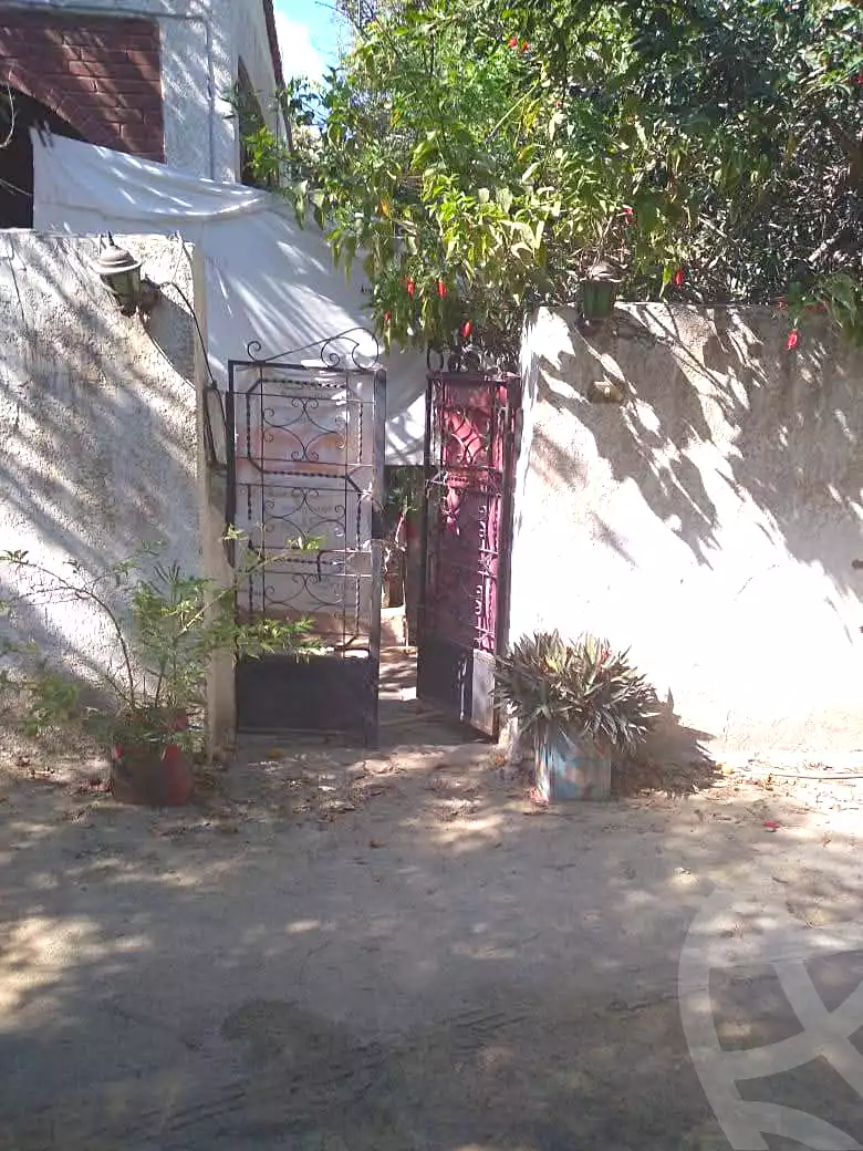 https://aqarmap.com.eg/ar/listing/7102543-for-rent-alexandria-al-agamy-lbytsh-shahr-al-assal-st