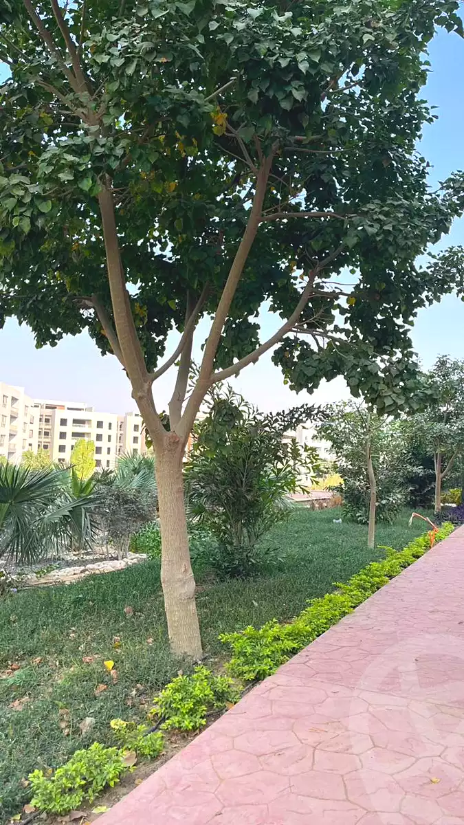 https://aqarmap.com.eg/ar/listing/7103590-for-sale-cairo-new-cairo-lmstqbl-syty-compounds-zyzyny-lmstqbl-rdk-llttwyr