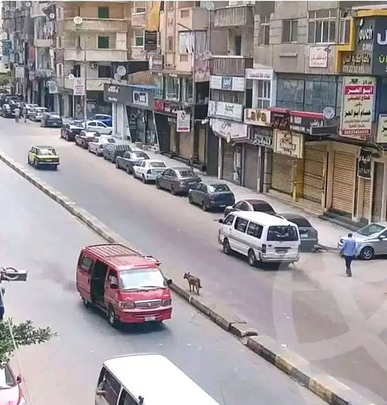https://aqarmap.com.eg/ar/listing/7103765-for-sale-alexandria-fyktwry-shr-jml-bd-lnsr
