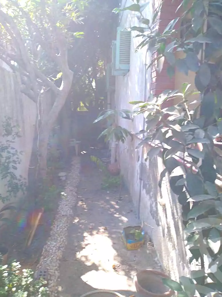 https://aqarmap.com.eg/ar/listing/7104859-for-rent-alexandria-al-agamy-lbytsh-el-batal-ahmed-abd-el-aziz-belbis-st