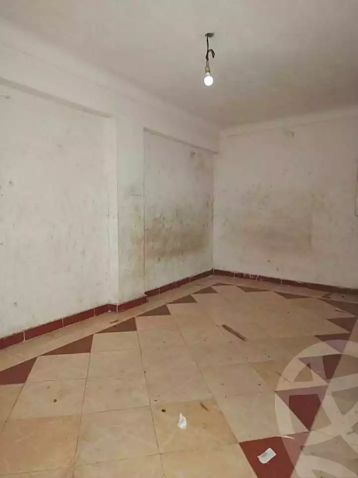 https://aqarmap.com.eg/en/listing/7106277-for-rent-alexandria-lsywf-el-falki-street-16-el-eslah