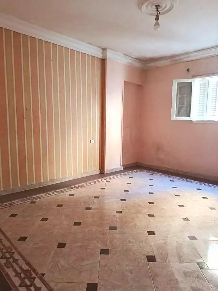 https://aqarmap.com.eg/en/listing/7106312-for-rent-alexandria-lsywf-el-falki