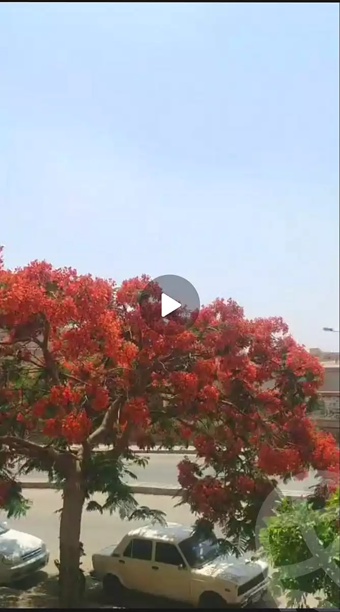 https://aqarmap.com.eg/ar/listing/7106674-for-sale-cairo-new-cairo-el-kattameya-kattameya-road