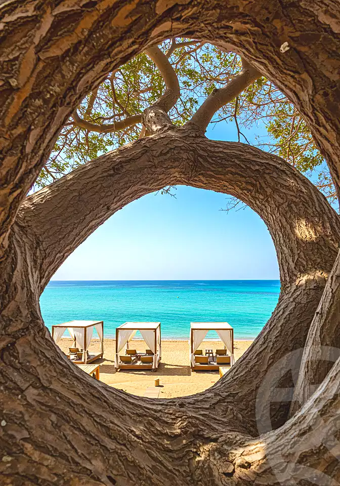 https://aqarmap.com.eg/ar/listing/7108960-for-sale-marsa-matruh-marsa-matrouh-resorts-marsa-baghush-resort-shehab-mazhar