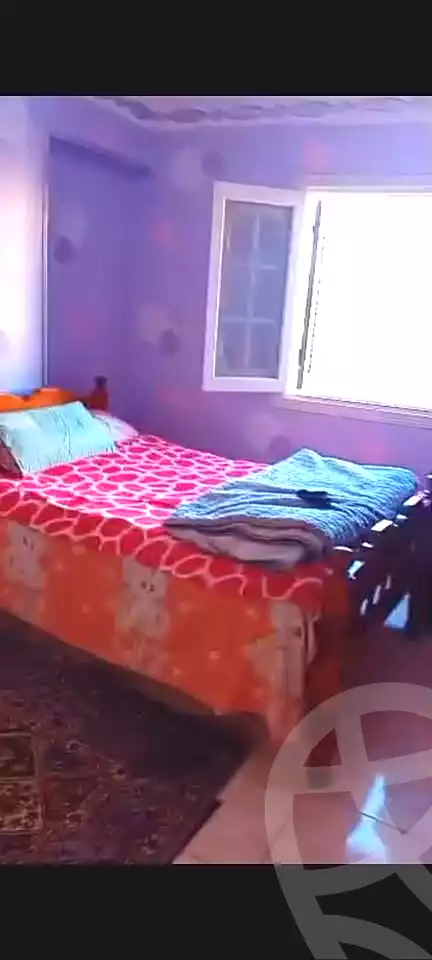 https://aqarmap.com.eg/en/listing/7111477-for-rent-alexandria-al-agamy-lbytsh-qased-kareem-st