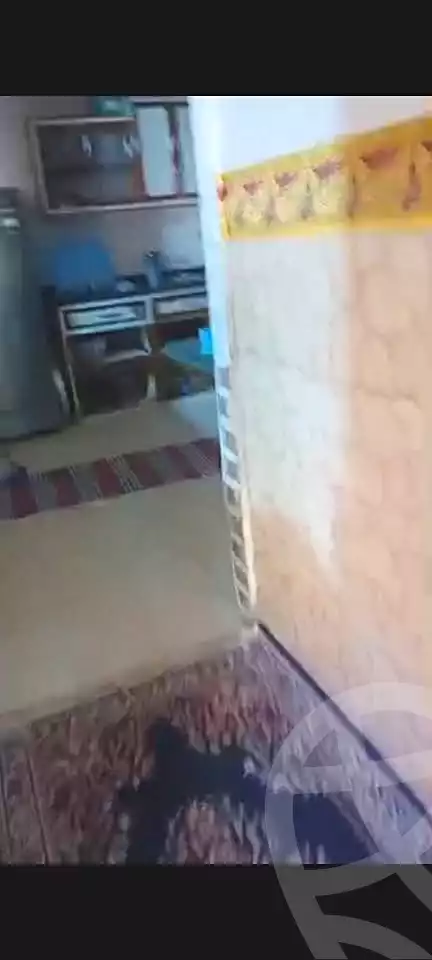 https://aqarmap.com.eg/en/listing/7111477-for-rent-alexandria-al-agamy-lbytsh-qased-kareem-st