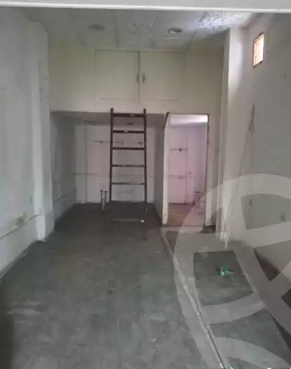 https://aqarmap.com.eg/en/listing/7115789-for-rent-cairo-manial-manial-st