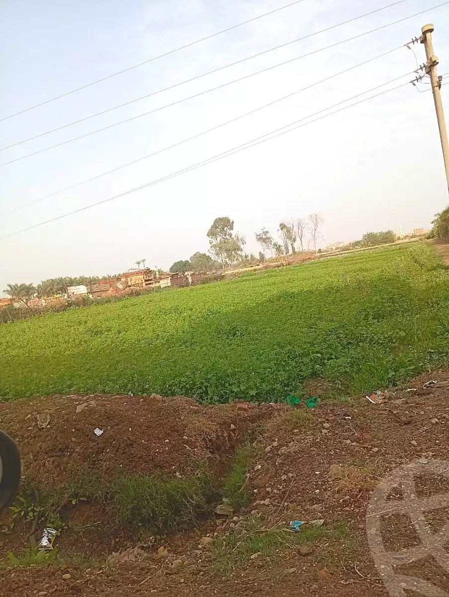 https://aqarmap.com.eg/en/listing/6868139-for-sale-monufia-ashmoun-kafr-kors