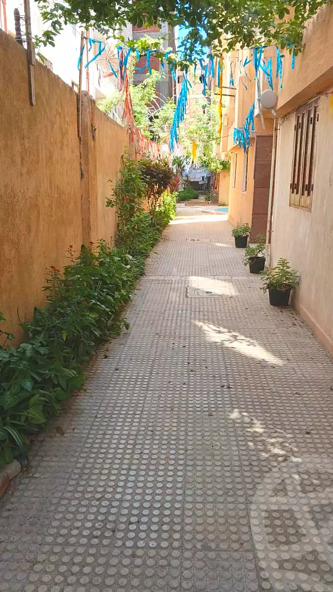 https://aqarmap.com.eg/ar/listing/7118049-for-sale-alexandria-al-agamy-lbytsh-shahr-al-assal-st