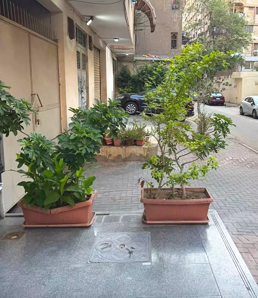 https://aqarmap.com.eg/ar/listing/7119691-for-sale-cairo-heliopolis-gesr-elsuez-ibn-sender-square