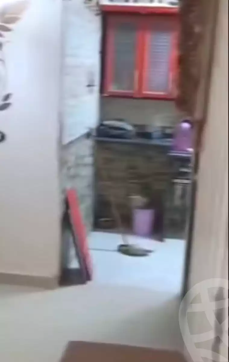 https://aqarmap.com.eg/ar/listing/7126110-for-sale-cairo-el-zaytun-hlmy-lzytwn