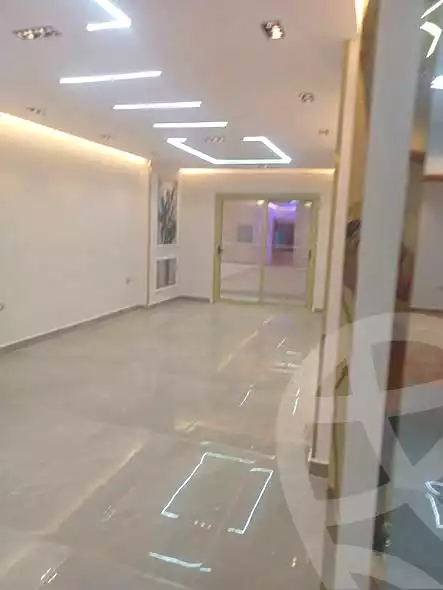 https://aqarmap.com.eg/en/listing/7126613-for-rent-cairo-faisal