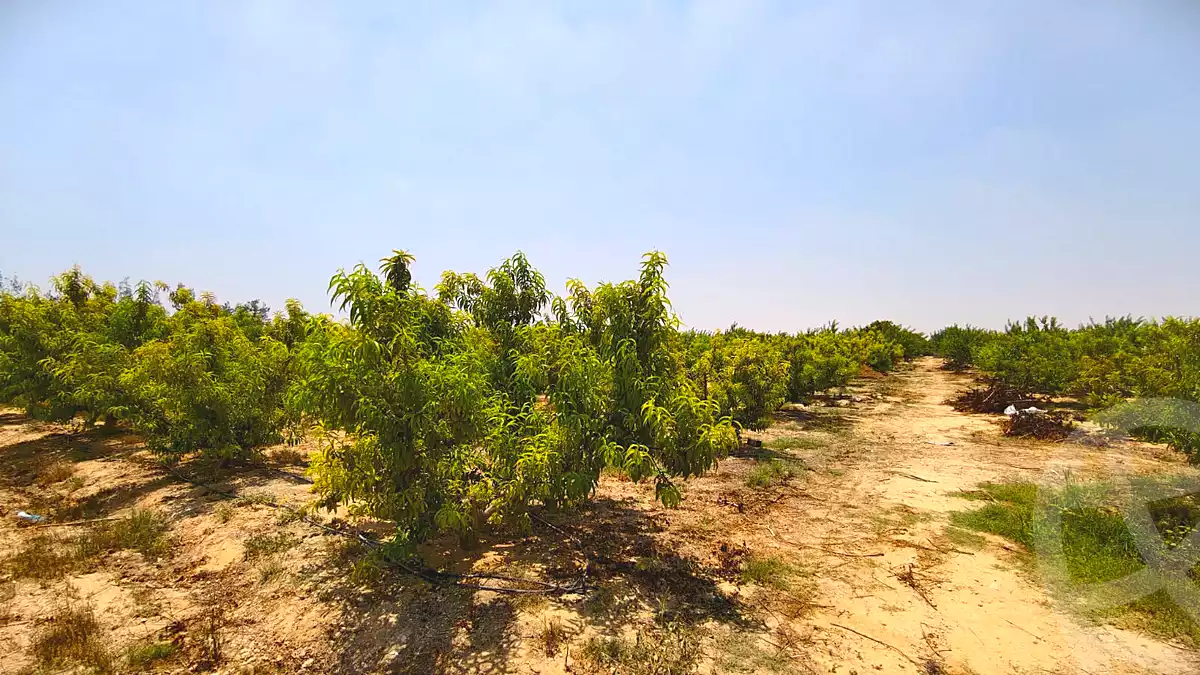 https://aqarmap.com.eg/ar/listing/7128781-for-sale-beheira-new-nubariya-el-yasha-village