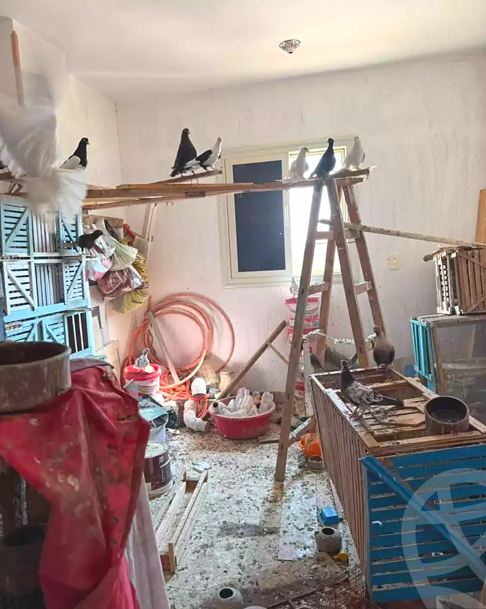https://aqarmap.com.eg/ar/listing/7130344-for-sale-cairo-ain-shams-ain-shams-el-sharkia-el-fairouz-st