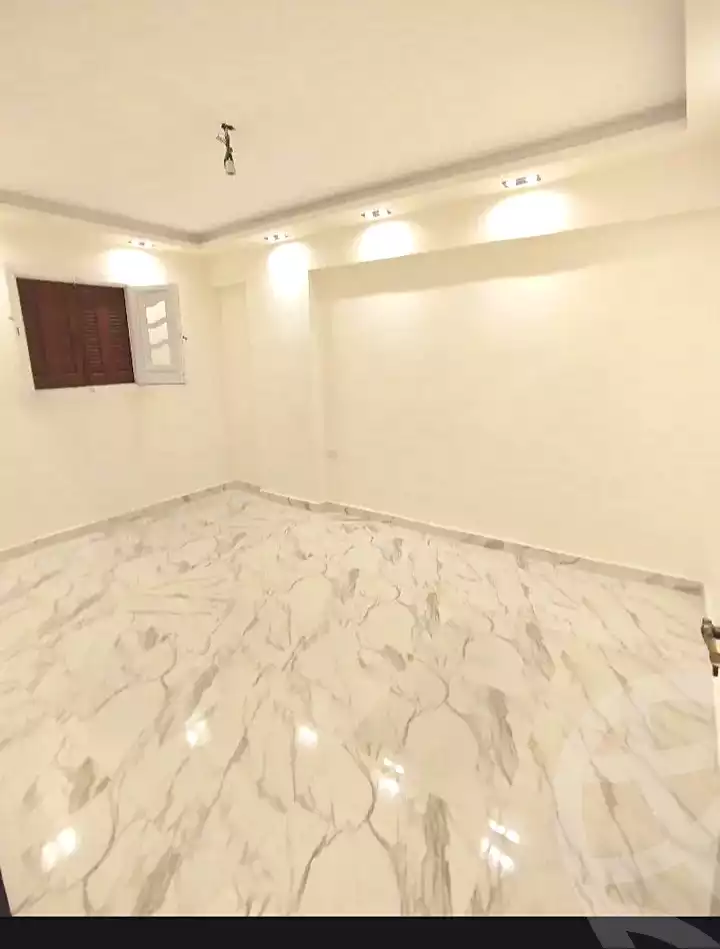 https://aqarmap.com.eg/en/listing/7131060-for-sale-alexandria-lsywf