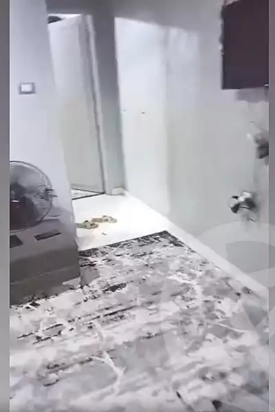 https://aqarmap.com.eg/en/listing/7133337-for-sale-cairo-ain-shams-el-naam