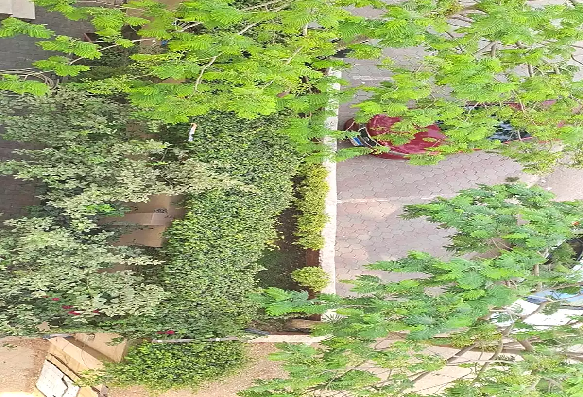 https://aqarmap.com.eg/en/listing/7134216-for-sale-cairo-new-cairo-compounds-galleria-moon-valley-compound-arabia