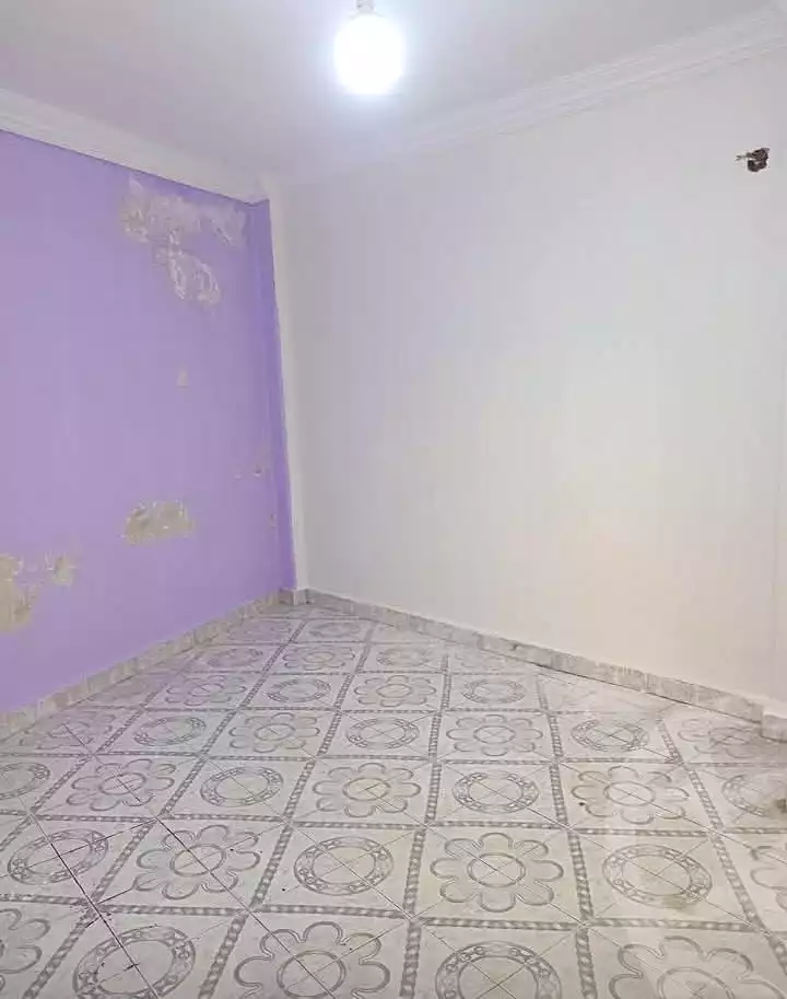 https://aqarmap.com.eg/en/listing/7135859-for-sale-cairo-ain-shams-jsr-lswys-kamal-hegab-st