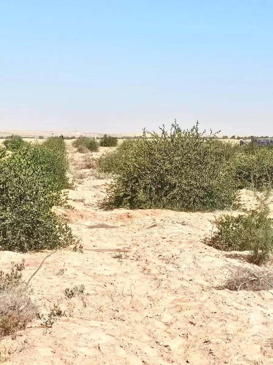 https://aqarmap.com.eg/ar/listing/7139221-for-sale-suez-el-arebaaen-ismailia-suez-rd