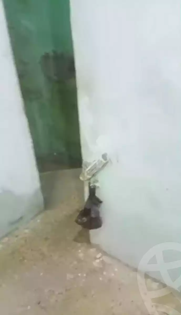 https://aqarmap.com.eg/ar/listing/7139754-for-rent-cairo-hadayek-el-koba-azam-st