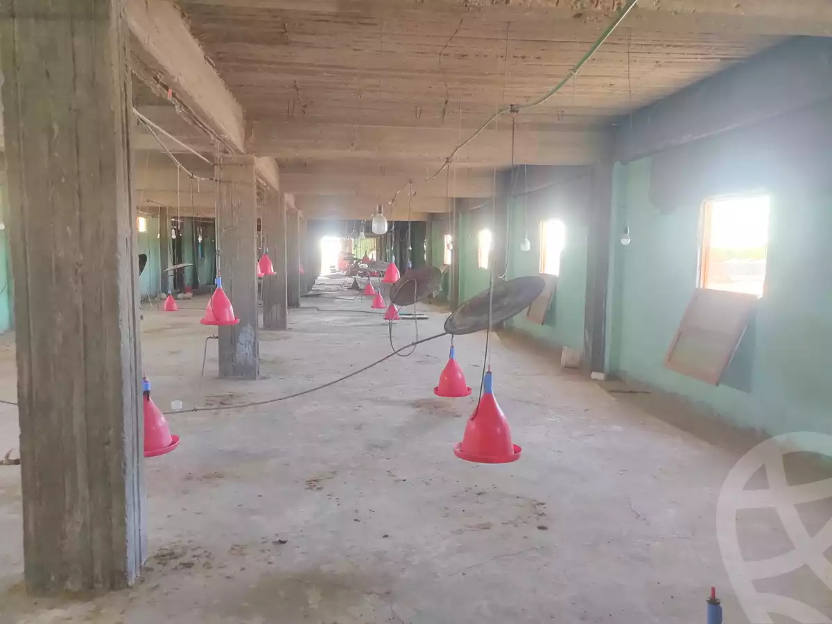 https://aqarmap.com.eg/en/listing/7140682-for-sale-new-valley-kharga-oasis-qret-el-sherka