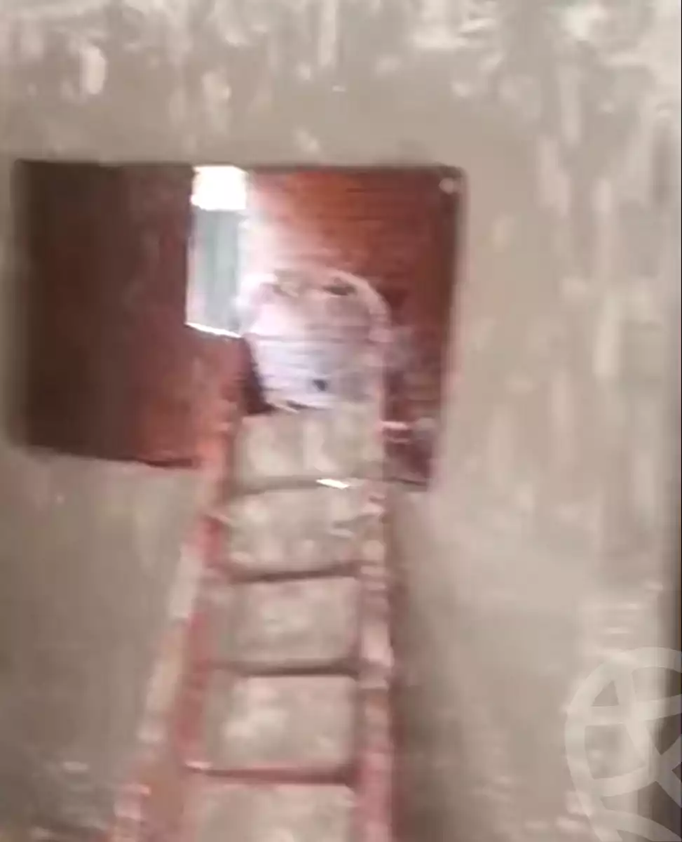 https://aqarmap.com.eg/en/listing/7141935-for-sale-cairo-ain-shams-el-naam-feleb-hanna-st