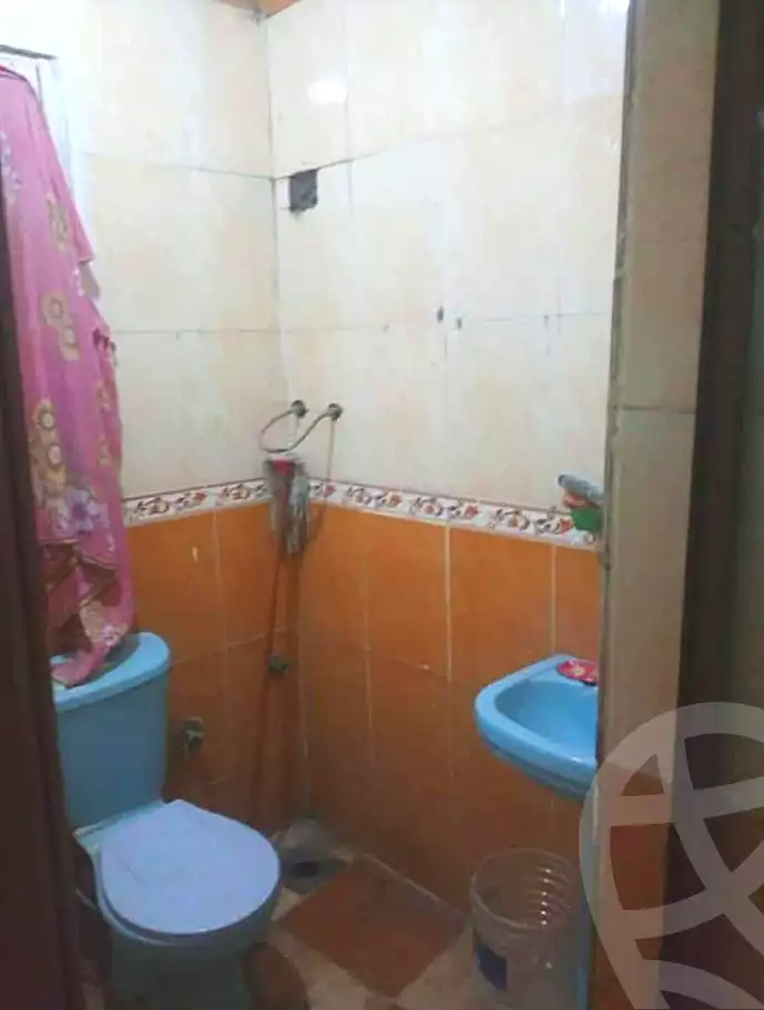 https://aqarmap.com.eg/en/listing/7142290-for-sale-cairo-ain-shams-aman-st