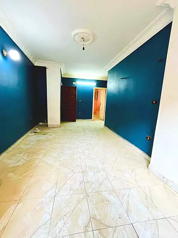 https://aqarmap.com.eg/en/listing/7142303-for-sale-cairo-el-haram-shareaa-khatem-el-morsalen