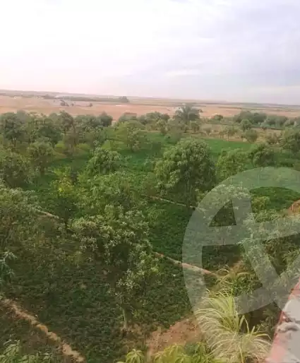 https://aqarmap.com.eg/ar/listing/7142448-for-sale-suez-faisal
