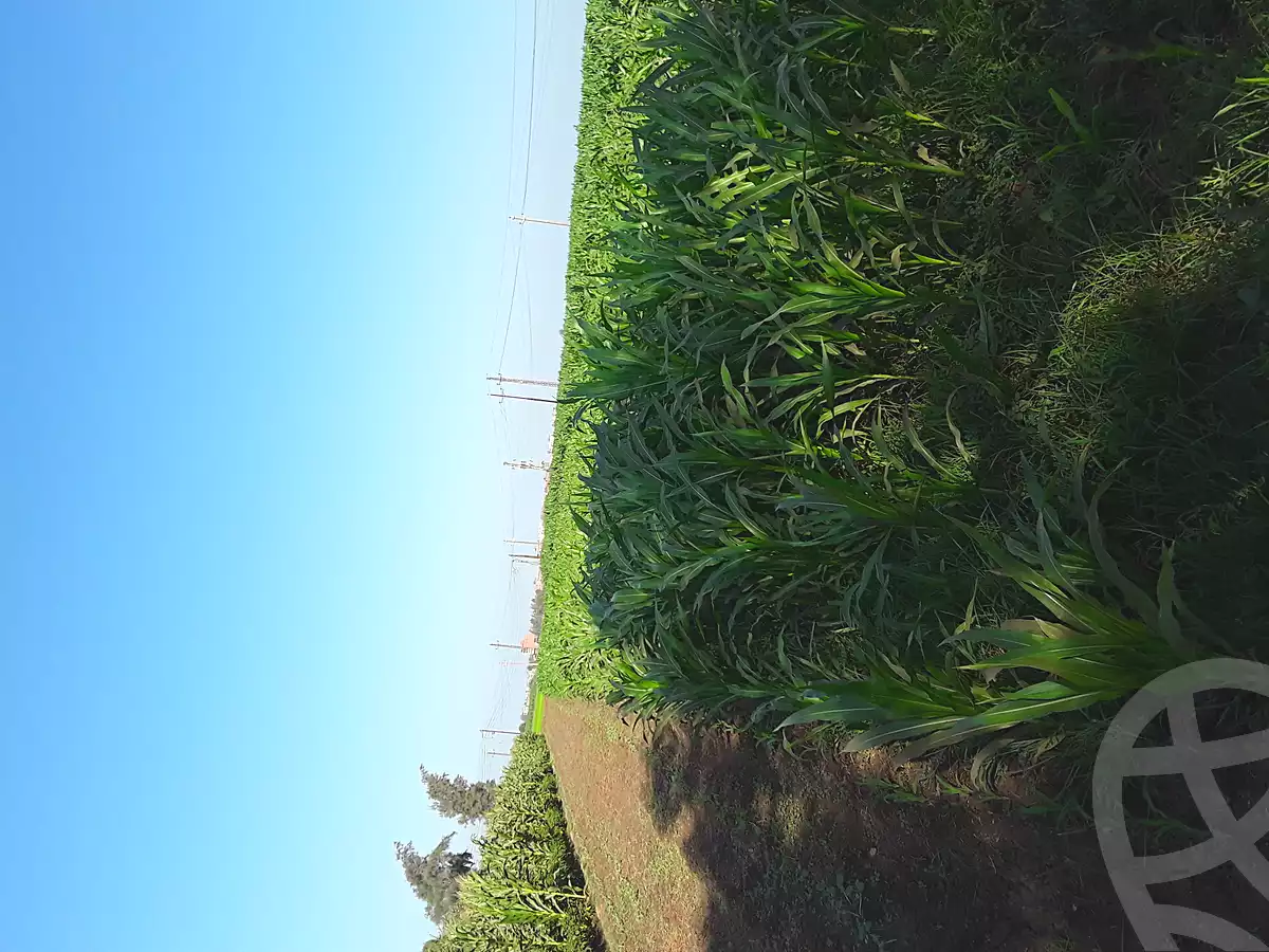 https://aqarmap.com.eg/en/listing/7143127-for-sale-dakahlia-aga-shewa-el-sharkeya